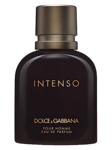 Dolce&Gabbana Pour Homme Intenso 