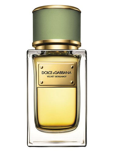 Velvet Bergamot