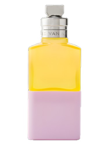 Jardin De L Orangerie
