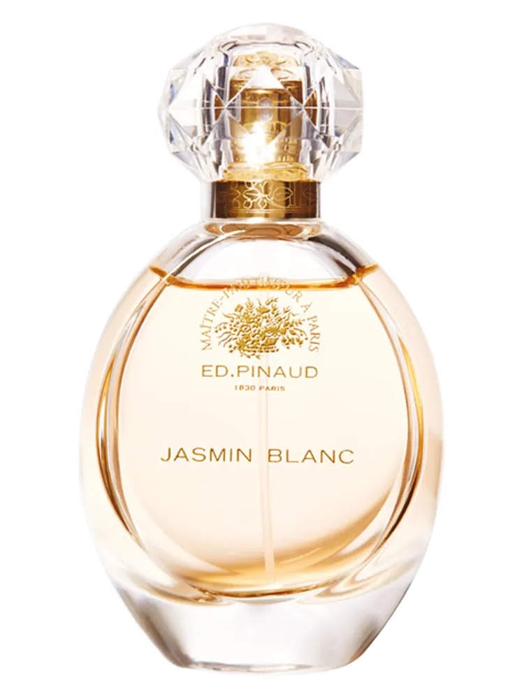 Jasmin Blanc