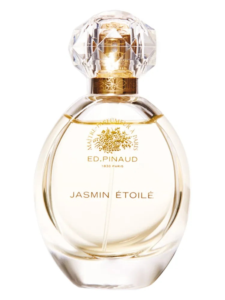 Jasmin Etoilé