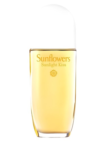 Sunflowers Sunlight Kiss
