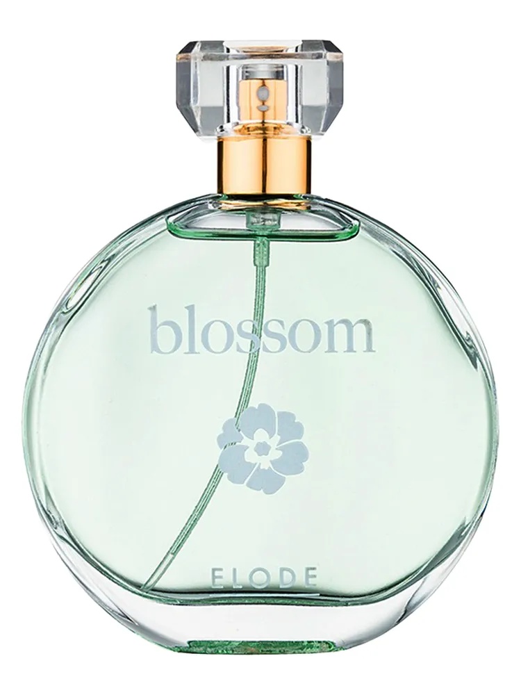 Blossom