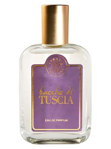 Bacche Di Tuscia