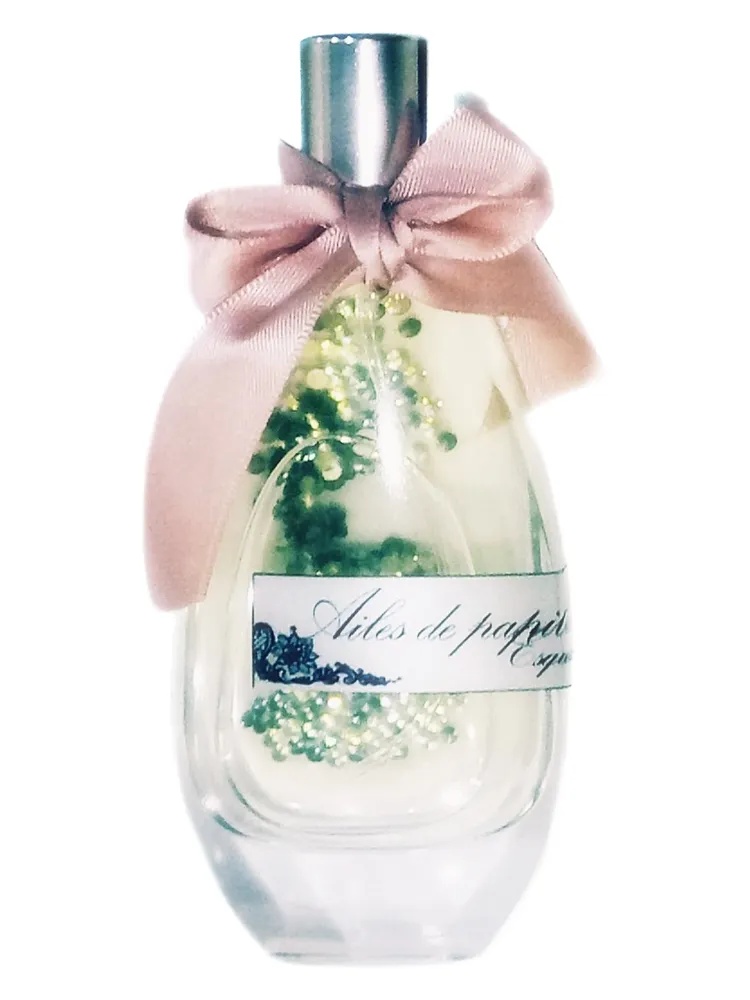 Ailes de Papillon