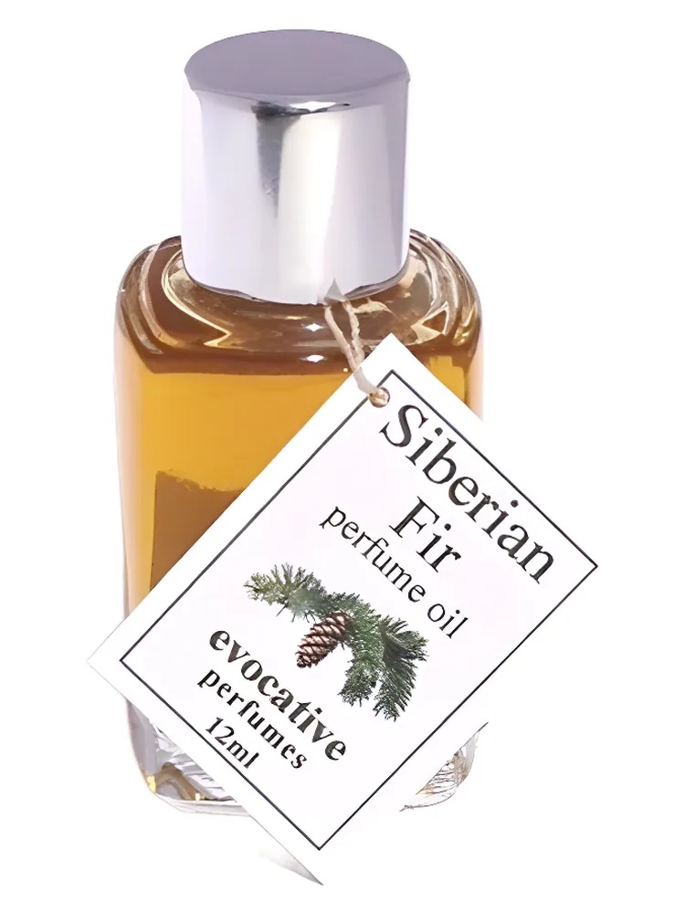 Siberian Fir