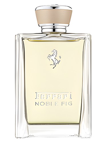 Noble Fig