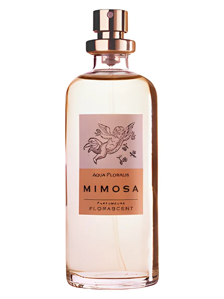Mimosa