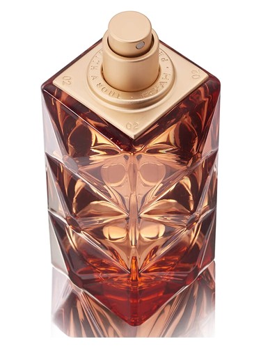 Mémoires d'une Palmeraie 08