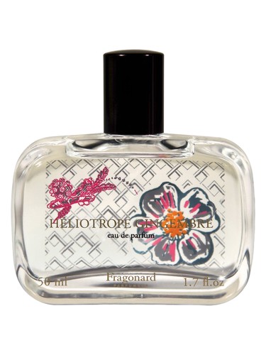 Héliotrope Gingembre