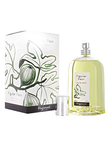 Les Naturelles Figuier Fleur