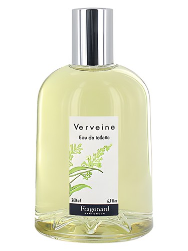 Verveine