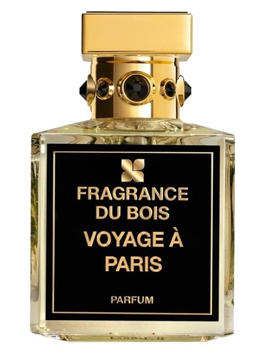 Voyage A Paris