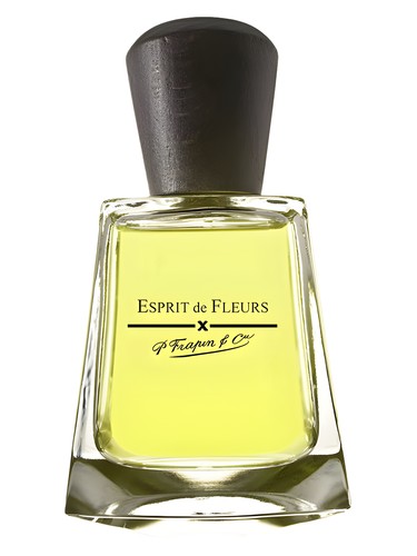 Esprit De Fleurs