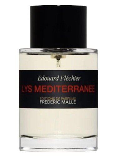 Lys Mediterranee