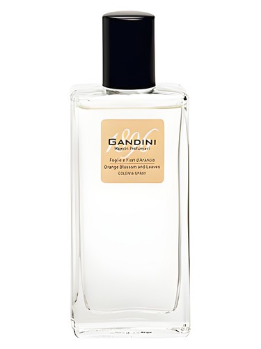 Orange Blossom And Leaf