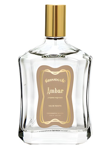 Ambar