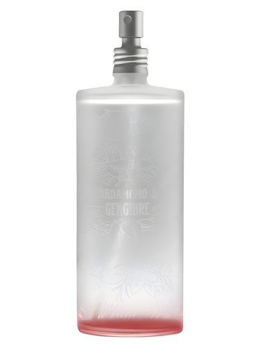 Cardamomo Gengibre