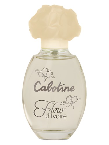 Cabotine Fleur D Ivoire