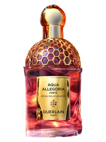Primary bottle image