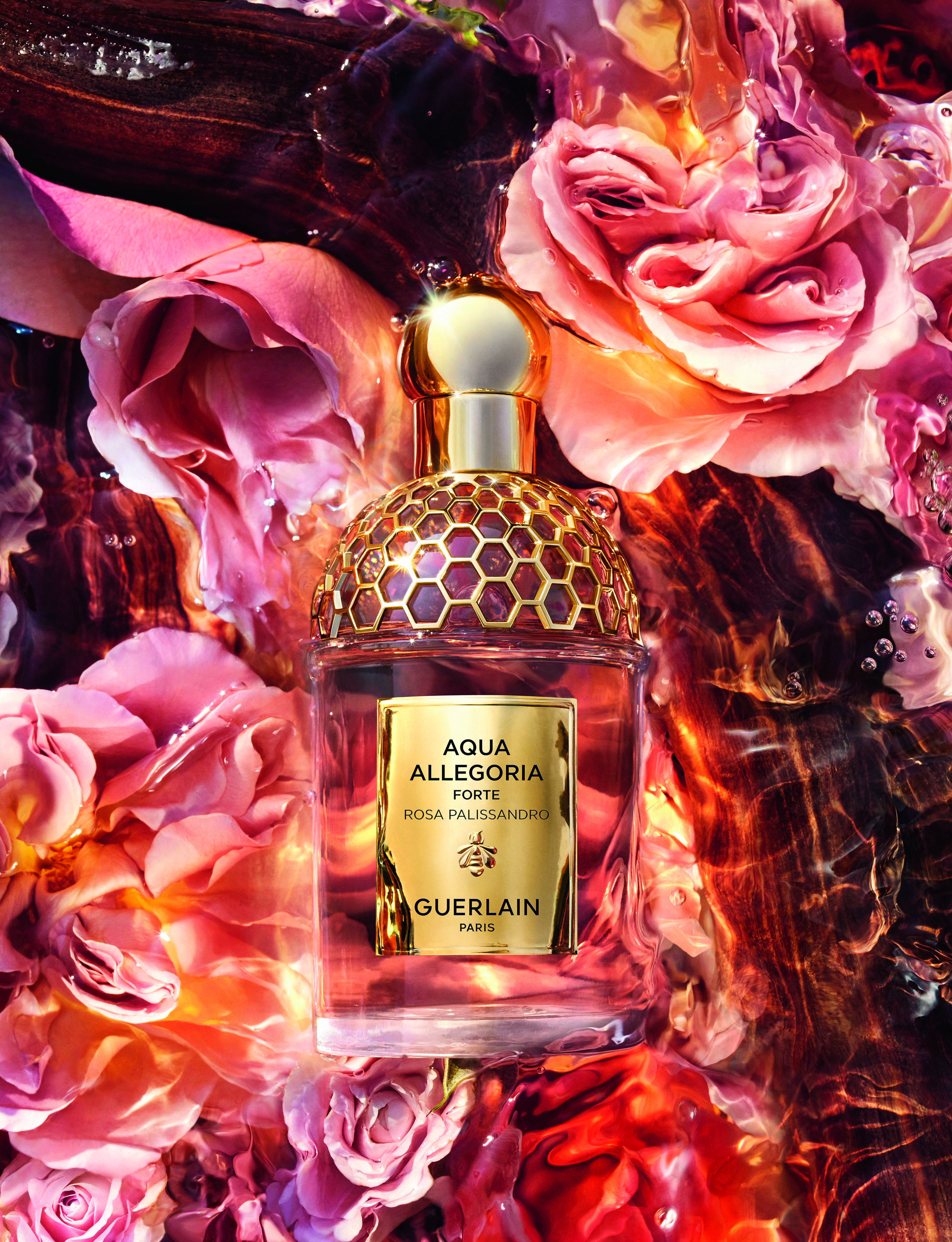 Bottle image