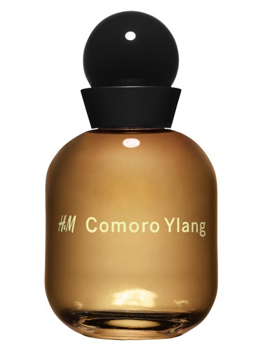 H M Comoro Ylang