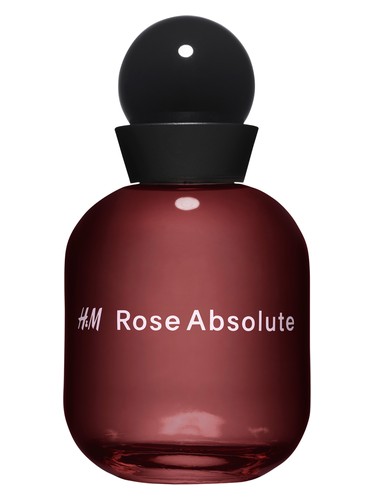 H M Rose Absolute