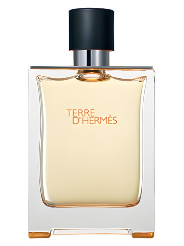 Terre D Hermes