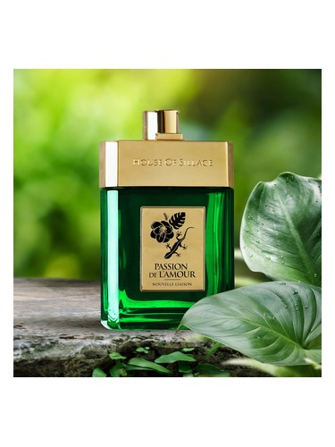 Passion De L Amour Nouvelle Liaison Parfum
