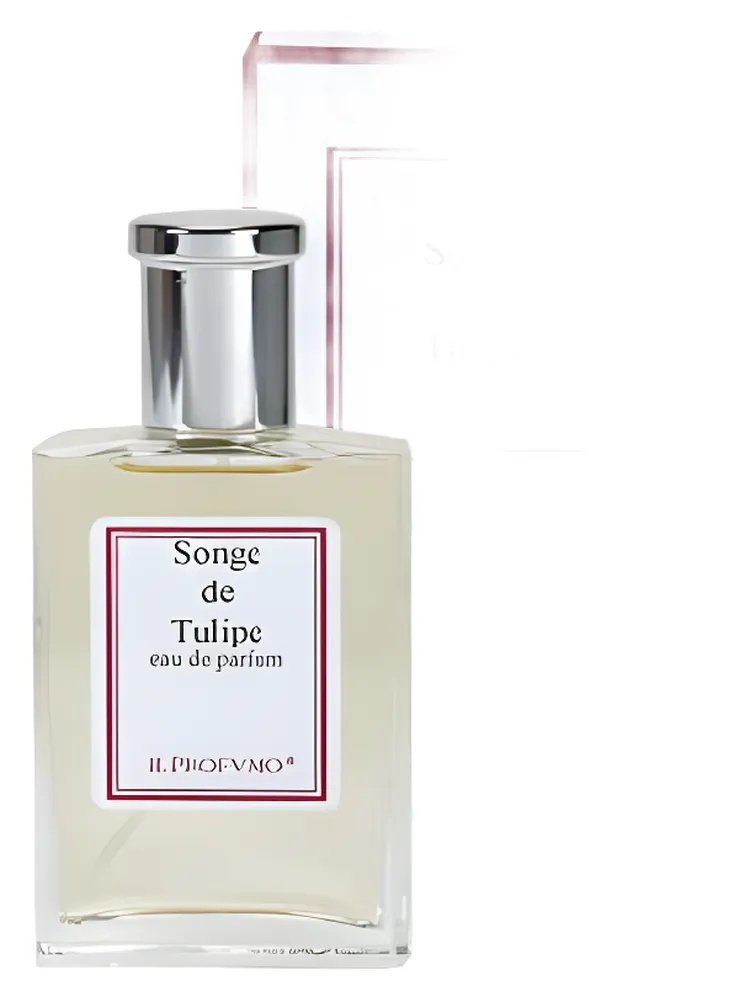 Multiflor Line Songe de Tulipe