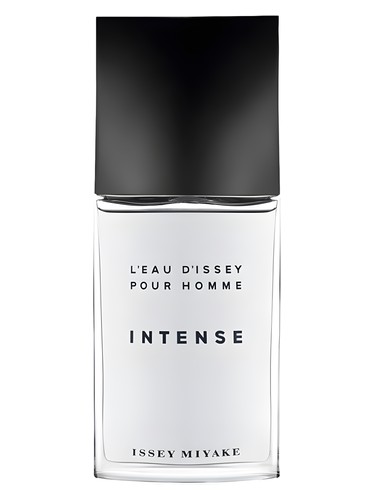 L Eau D Issey Pour Homme Intense