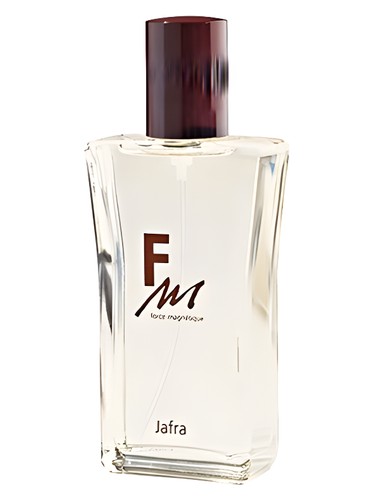 FM Force Magnétique