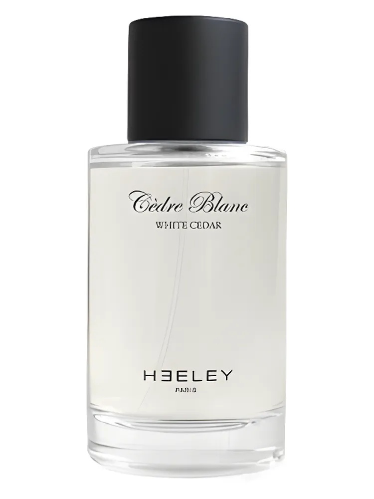 Cedre Blanc