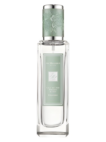 Rock The Ages Lily Of The Valley Ivy
