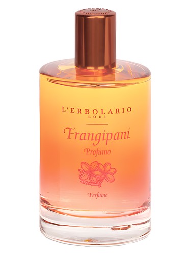 Imagen principal del frasco