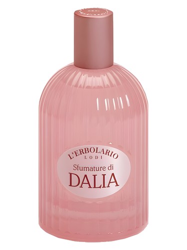 Sfumature Di Dalia Shades Of Dahlia