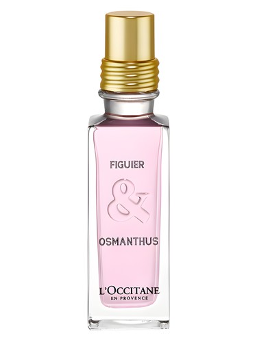 Figuier Osmanthus
