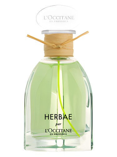 Herbae