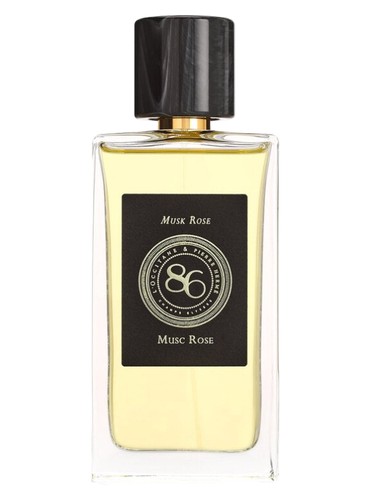 Musc Rose Musk Rose
