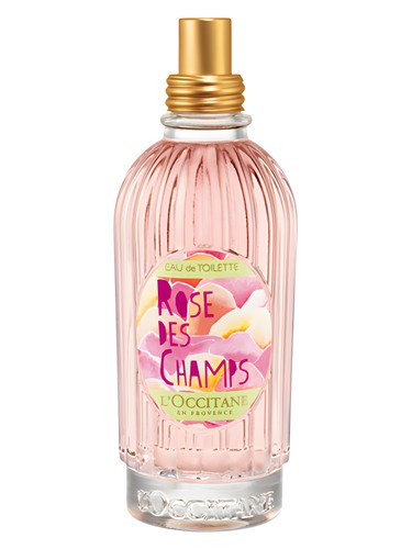 Rose des Champs