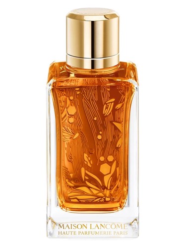 Oud Ambroisie