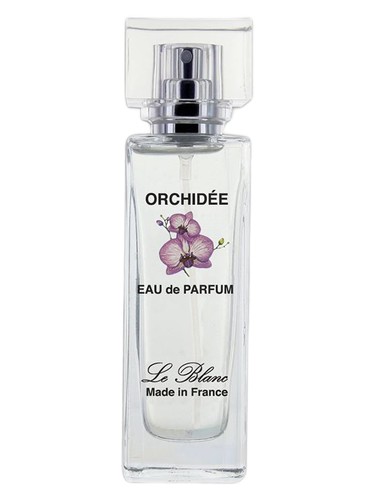 Orchidée