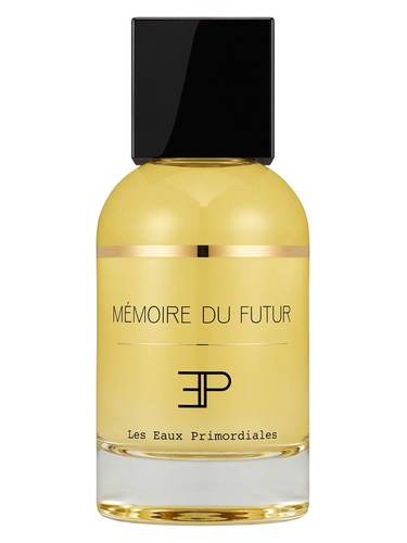 Memoire Du Futur