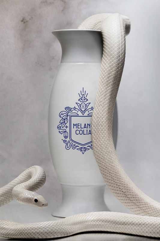 Bottle image