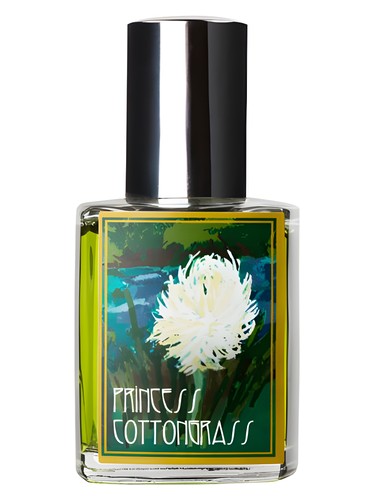 Princess Cottongrass
