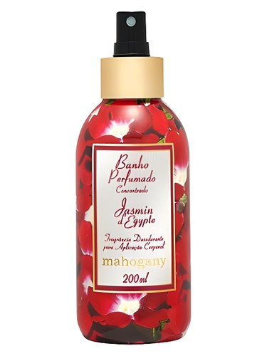 Jasmin D'Egypte