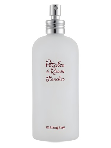 Petales De Roses Blanches