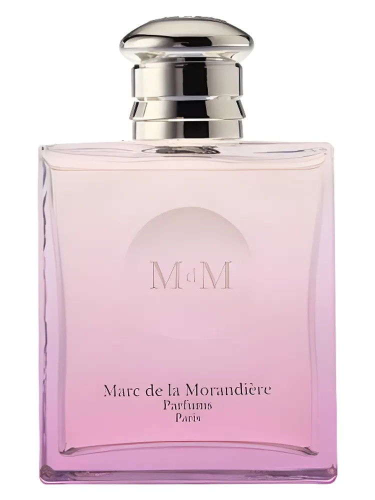 Lady MDM