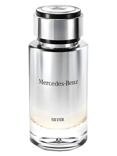 Mercedes-Benz Silver