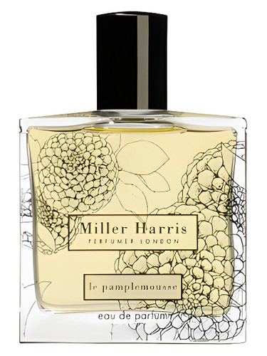 Le Pamplemousse